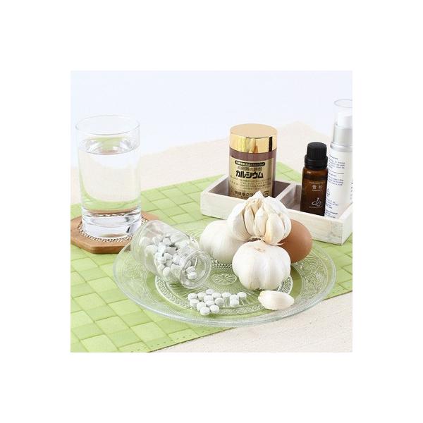 X̌NǗɁI@G{̗kJVEirj  |Cg