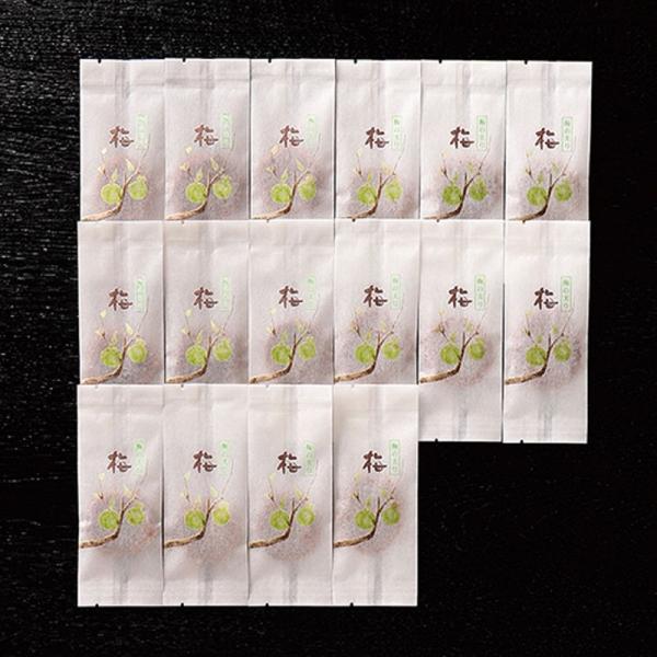 a̎RY썂~픲~i݂͂~jk~i3LTCYj×16A17l