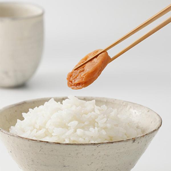 ~ ʂ IB썂~ ~ IBY a̎RY ߂ڂ  ͖{Hi a̎R  |Cg