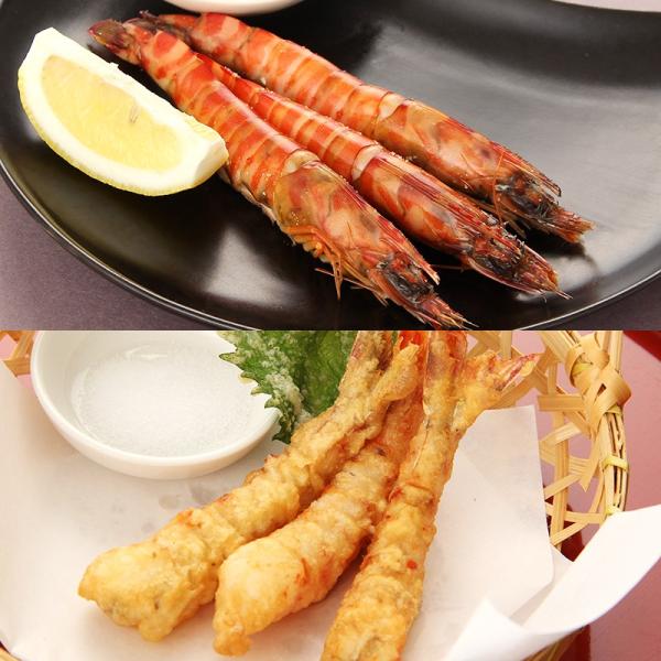 }ⓀȎԂ(LE)kⓀԂїL5`7i170gj×2܁A8`10i140gj×2܁l  |Cg