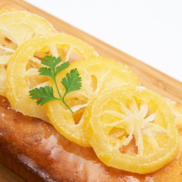 hCt[c lC ւ背 Ygp k (24g×10) ×2l  |Cg