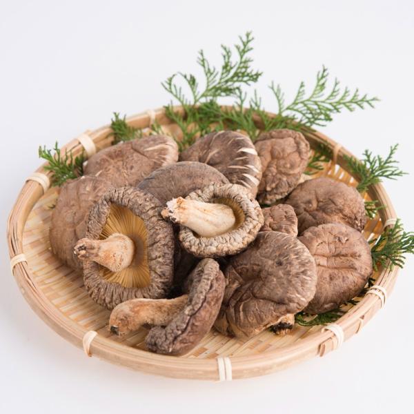 pFR炿؊ǂ񂱁k180gl ő   |Cg