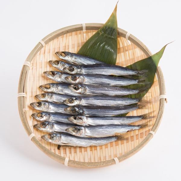 ߈銱k1200gl Y F{  |Cg