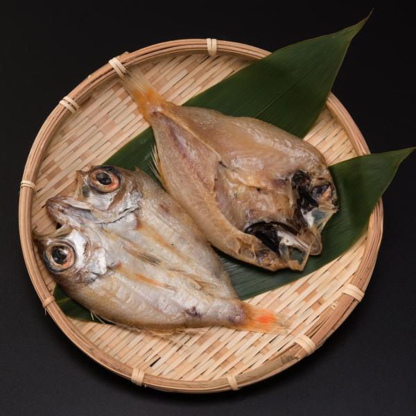 ̂ǂ  銱 8 Zbg ̂ǂJ RAY Y Yn Ђ Y Ⓚ ЃV[Ct   |Cg