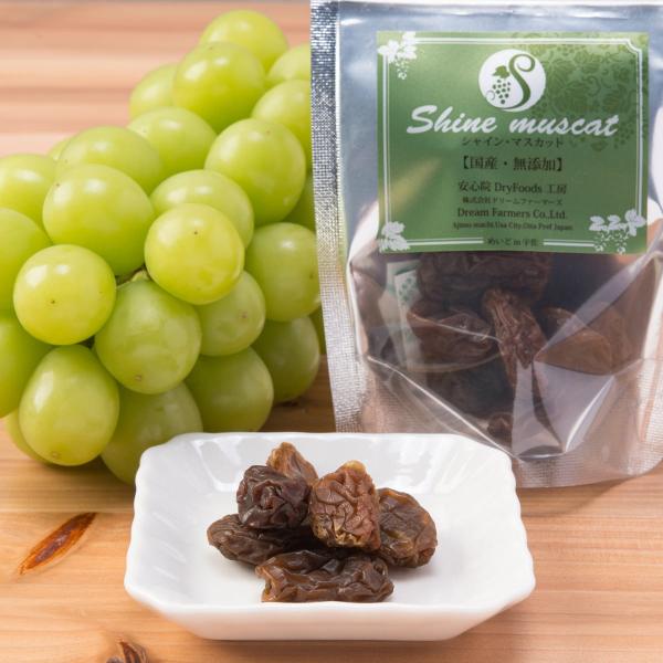 YԂǂ ݂ MtgZbg {Y S@ hCt[c lߍ킹 [Y   啪  |Cg