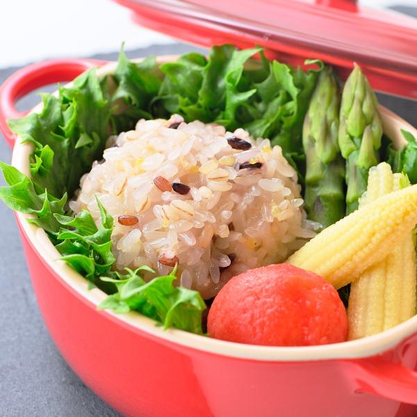 VE}C 12 a_S { Č{イ܂ ⓀHi   y {薼 Y  叫 {茧  |Cg