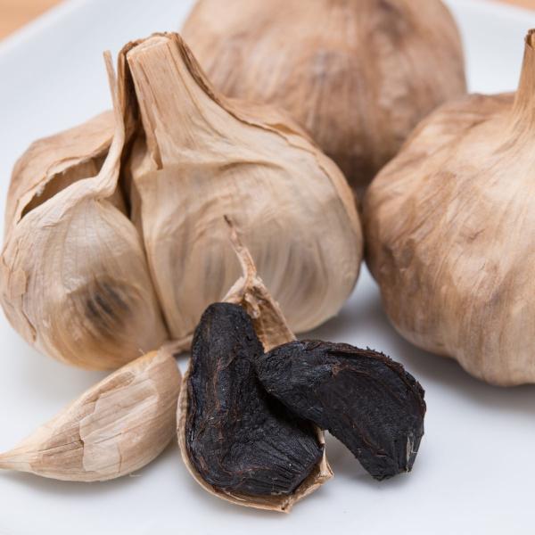 b̍ɂɂ 300g jjN n ɂɂ Y RY lߍ킹 Y f _ƐY@l@Ё@h@i`o`m R |Cg