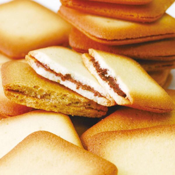 FC15 20 mَq َq lߍ킹 XC[c ĉَq colombin   Ro