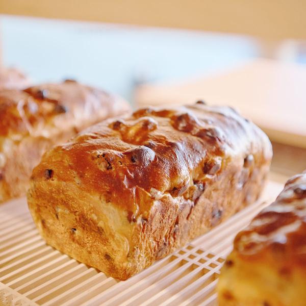 4̃[YHp 3{Zbg Hp Ⓚ [Yp R HpX FUJISAN SHOKUPAN