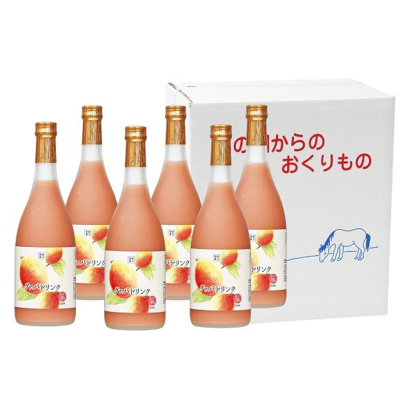 O@ohN 720ml×6{Zbg 6{ l O@oW[X t[cW[X O@o Y { {ʏ`