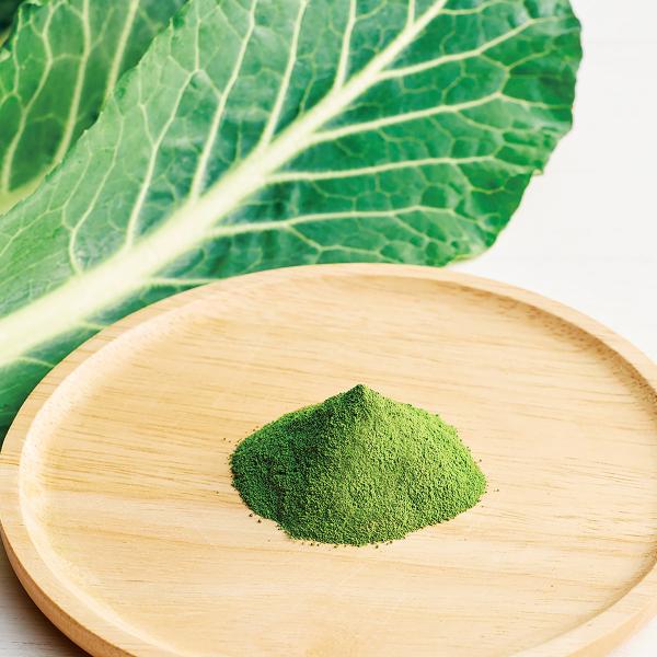 xf P[pE_[ 3 ؃pE_[ P[ L@JASF   n₷ L@ QY I[KjbN