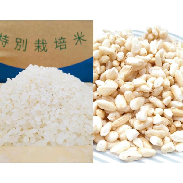 Y Pƃ|َq̂Zbg lߍ킹 ʍ͔|Ĕ鋫h  300g×4  ĉ |َq 