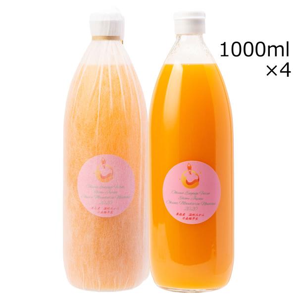 }_k[H[ ɑ 4{ ݂W[X ɑ݂ Y Q