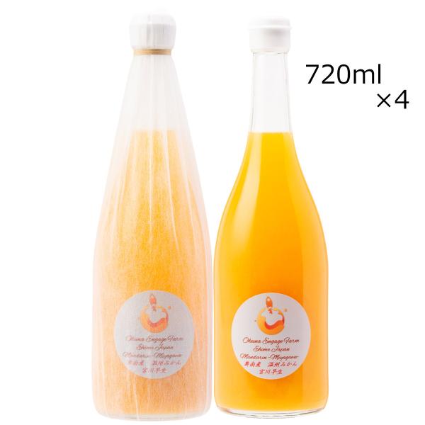 B݂W[X 4{ {쑁 W[X ݂ B݂ ʏ`100 Xg[g Q