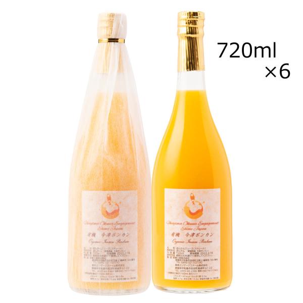 Ã|JW[X 6{ W[X |J ݂ ʎ Y QY Q