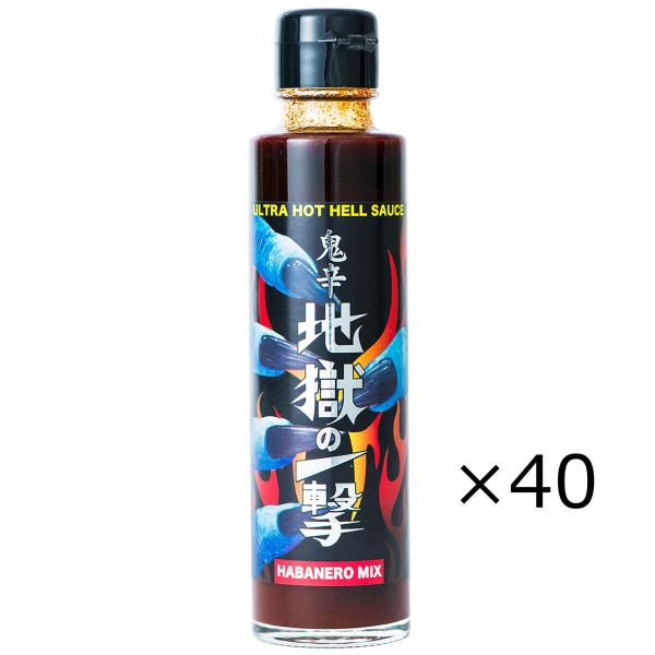 n̈ꌂ 40 Ɩp  XpCX h Y fX\[X hq nol n̑f \[X ʕ{ B 啪