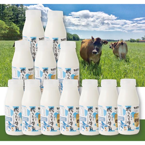 \肽ăW[W 12{ Zbg   ~N W[W[ kC \~L[ zSyE ͂sz