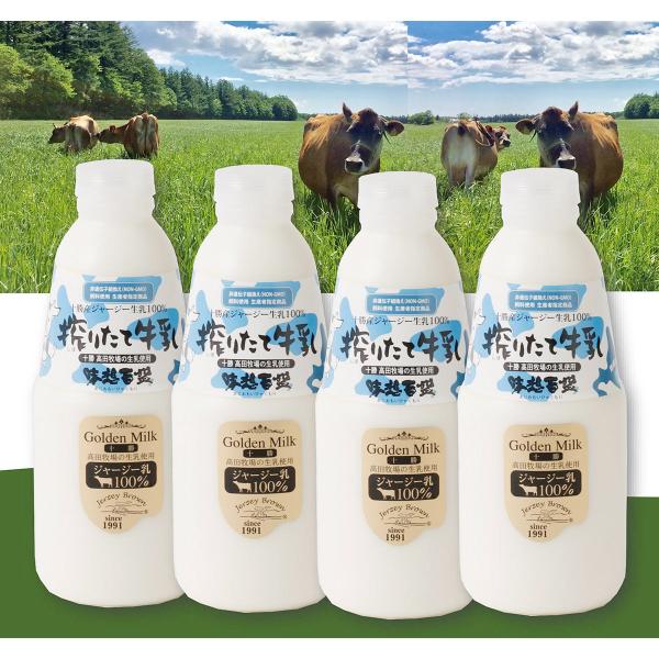 \肽ăW[W 4{ Zbg   ~N W[W[ kC \~L[ zSyE ͂sz