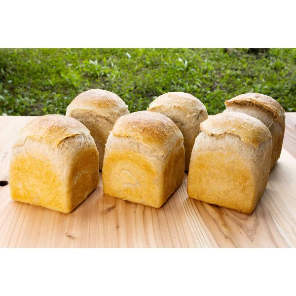 HpZbg p  Hp  Y VRy Ⓚp pH Hp g[Xg ւJtFL