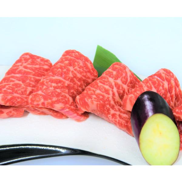 ݋  ēp 500g  Y јa  ē Ă   a XCX 茧Y