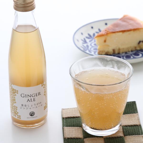はるのてらす 黄金しょうがのジンジャーエール 12本 195ml 炭酸