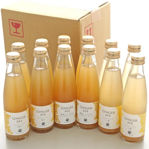 はるのてらす ジンジャーエール 3種 詰め合わせ 195ml 炭酸飲料