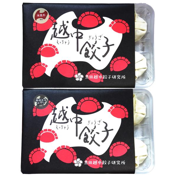 冷凍餃子 黒部名水ポーク 氷見牛 越中餃子 2種計4パック 食べ比べ【北海道・沖縄県・離島 配送不可】