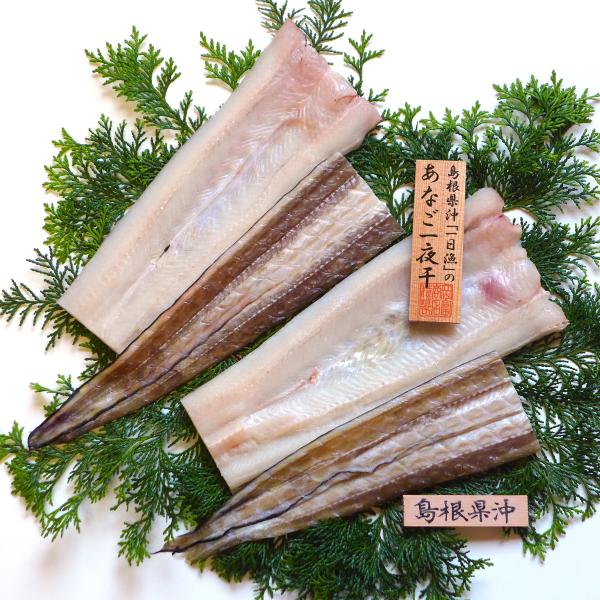 島根県大田市の干物専門店”岡富（おかとみ）商店”がお届けする「天女の羽衣 あなご 一夜干し」です。同市で『一日漁（いちにちりょう）』で水揚げされた新鮮で丸々と太った「真あなご」を、深層海水の天日塩だけを使って、珍しい一夜干しにしました。あな...