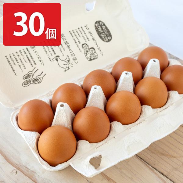 弾力のある粘り強い白身、甘さを感じるコクのある濃厚な黄身が自慢の「高光養鶏場 生でおいしい 生たまご」です。新鮮な生卵をそのままにパックしていますので、ぜひ、そのおいしさを「生」で味わってください。高光養鶏場は昔ながらの希少な「開放鶏舎で一...