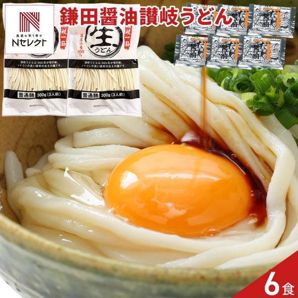 香川 讃岐 生うどん 2袋 鎌田醤油特製 だし醤油付き 讃岐うどん