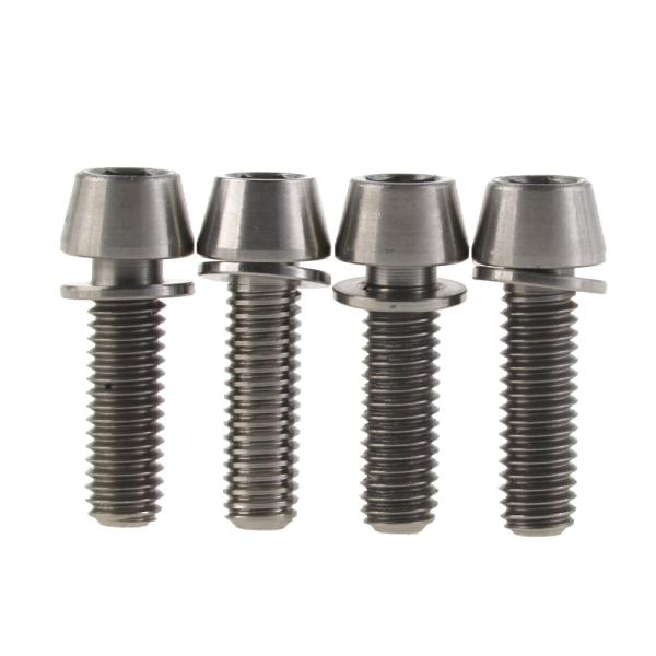 Dingtai チタン合金の自転車ブレーキブレーキテーパーキャップボルトM6x18 /20mm 4本入 (M6x20mm, チタンカラー)