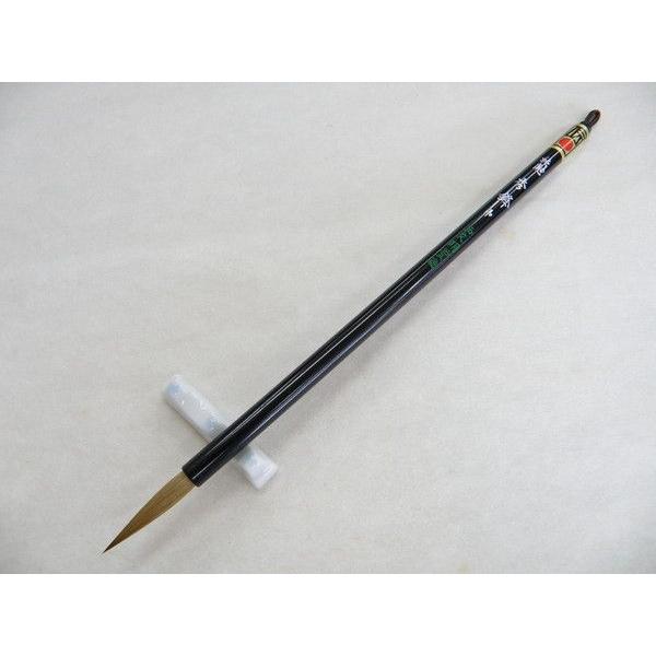 pM M GN  0.65×3.4cm pM ȗpM     M