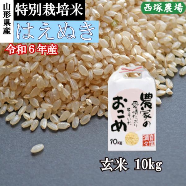 はえぬき 特別栽培米はえぬき岩魚米 （令和6年産）玄米 10kg
