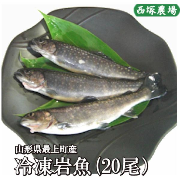 岩魚 20匹（冷凍）岩魚の大きさ：２０センチ前後、重量：１００g前後岩魚の腹を裂いておりません。（腹抜き後のサイズ：約70g）