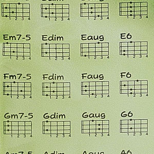 ORCAS ウクレレコード表プリントマイクロファイバークロス グリーン 