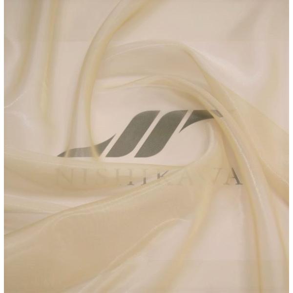 nishikawa-tex1211_mr3490-16