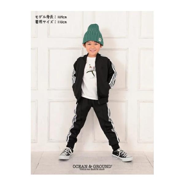 I[VAhOEh OceanGround W[W ㉺Zbg 4{C 1817801