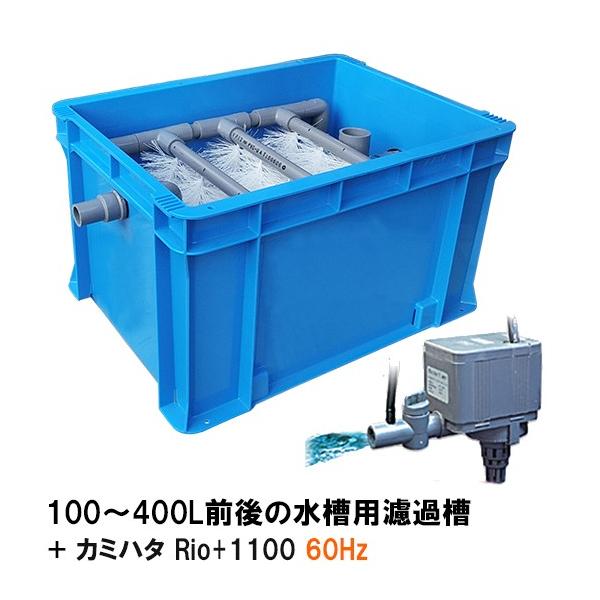 ☆100〜400L水槽用濾過槽＋カミハタ リオ Rio+1100 60Hz □ 同梱不可 