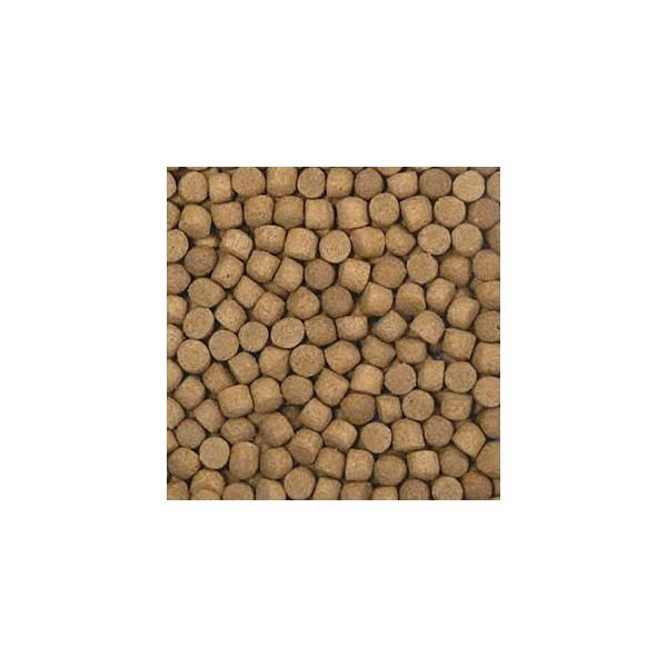 FDフード 超増体飼料 ゲイン S 浮 15kg 代引不可 送料無料 但 FDフード 超増体飼料 ゲイン S 浮 15kg 代引不可 送料無料 但