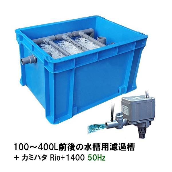 ☆100〜400L水槽用濾過槽＋カミハタ リオ Rio+1400 50Hz □ 同梱不可超