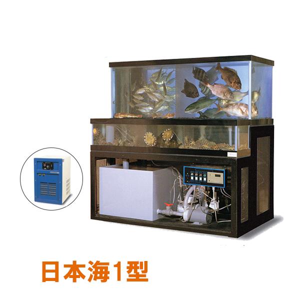 nishikigoiootani_10025787