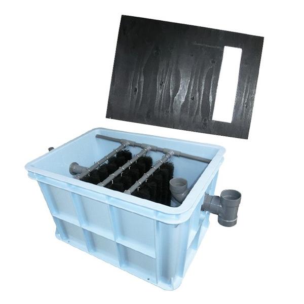 nishikigoiootani_100274532