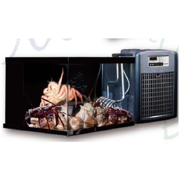 美品 DAO ezmax 三和ボタン 静音化 ビートマニア ポップン djmax生簀