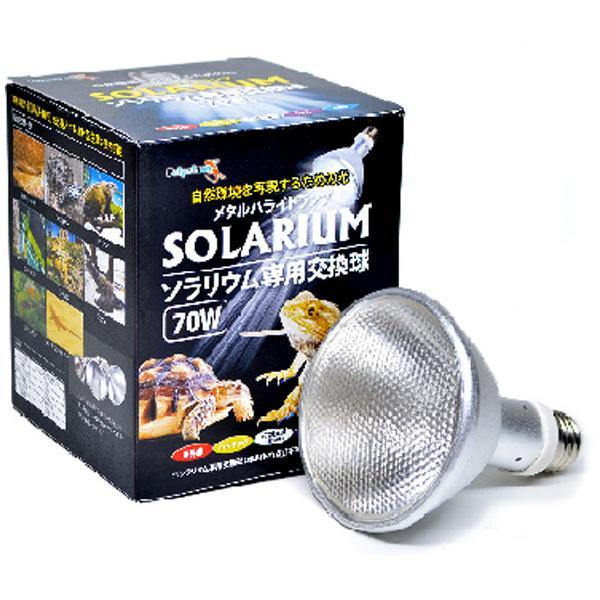ゼンスイ　メタハラ　ソラリウム　爬虫類用品 ゼンスイ SOLARIUM ソラリウム 70W 交換球 爬虫類