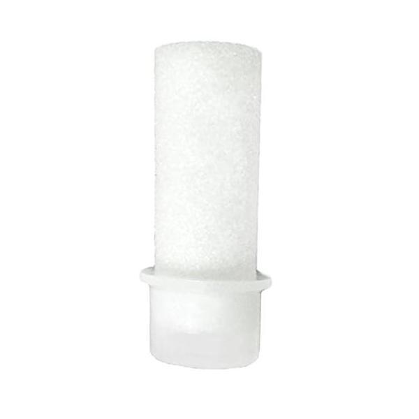 nishikigoiootani_10029248