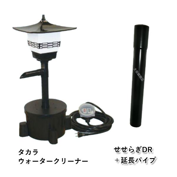 nishikigoiootani_10029773