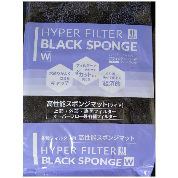 nishikigoiootani_blacksponge