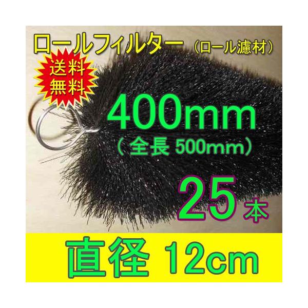 nishikigoiootani_r12425 nishikigoiootani_r12425