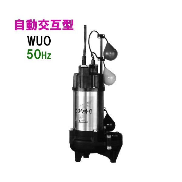 nishikigoiootani_wuo50515lng nishikigoiootani_wuo50515lng