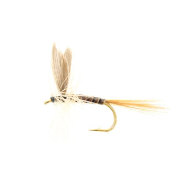 [商品情報]ショウガ色の羽を持つカゲロウを模した伝統的なフライパターンです。100年以上の歴史を持ち、シビアな状況でも高い効果を発揮します。特に、クイルボディの特徴が多くのターゲットにアピールし、釣果を引き寄せます。セット内容は4本※こちら...